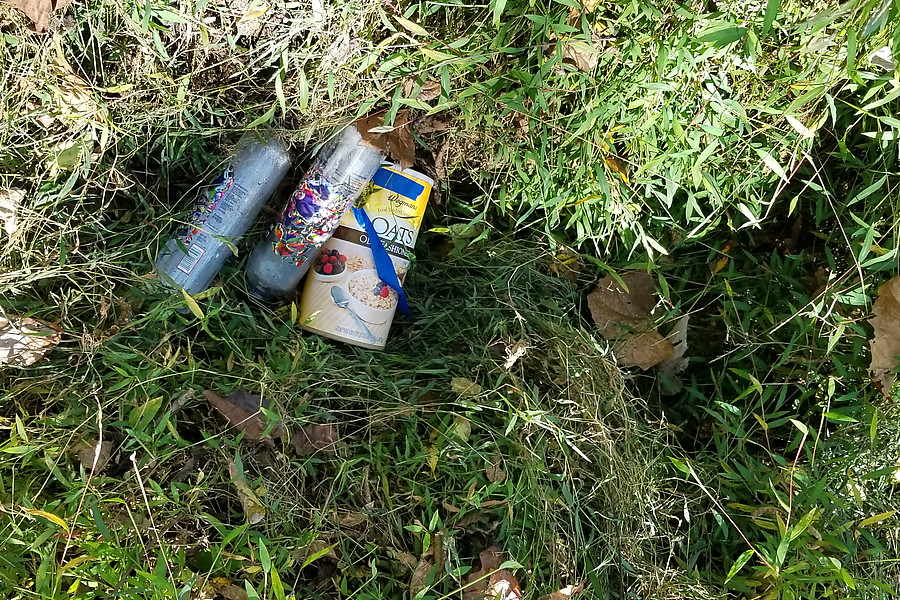 picking up the empty water/food cache behind an old stump the day after