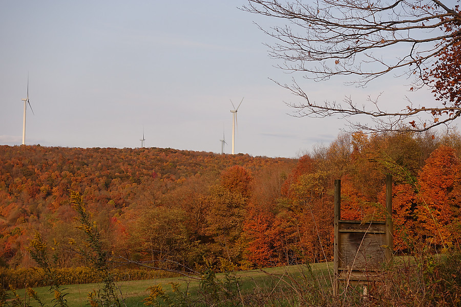 Ringer Rd wind farm