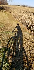 the awesome shadows you get before doing a bit of night riding without lights