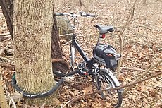bike locked at Wayside
