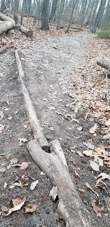 looking uphill at a nicely engineered waterbar