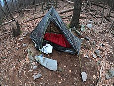lazy night pitch 