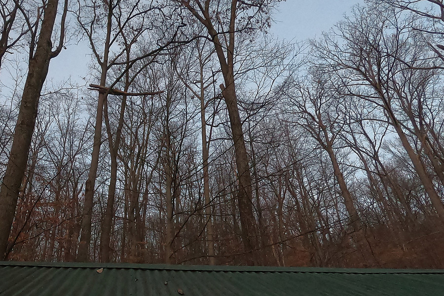 that widowmaker is over the trail but not over the tent site just to the right