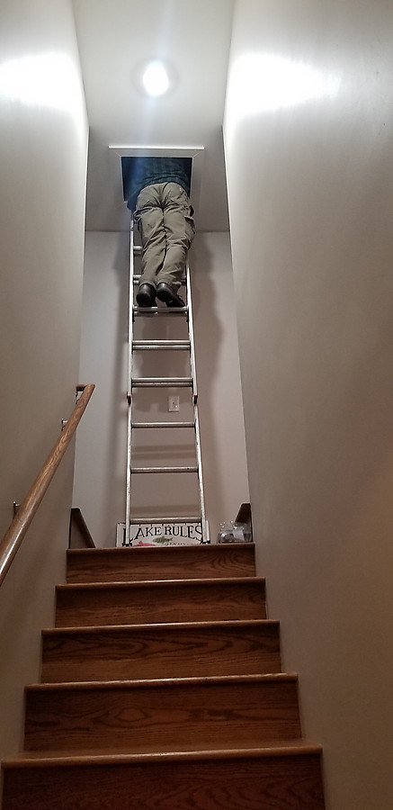 housework