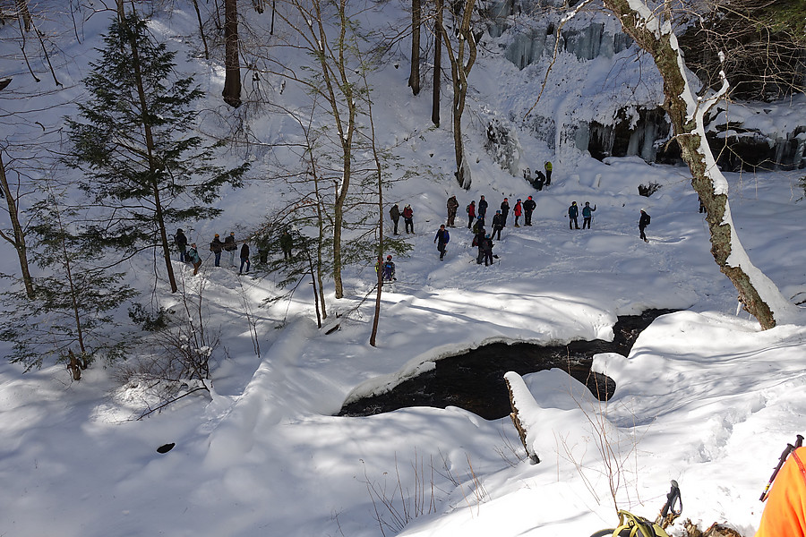 guided group doing the falls hike