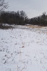 looking back from the sinkhole toward the bigger sinkholes