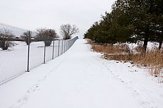 perfect XC ski conditions and lots of deer tracks