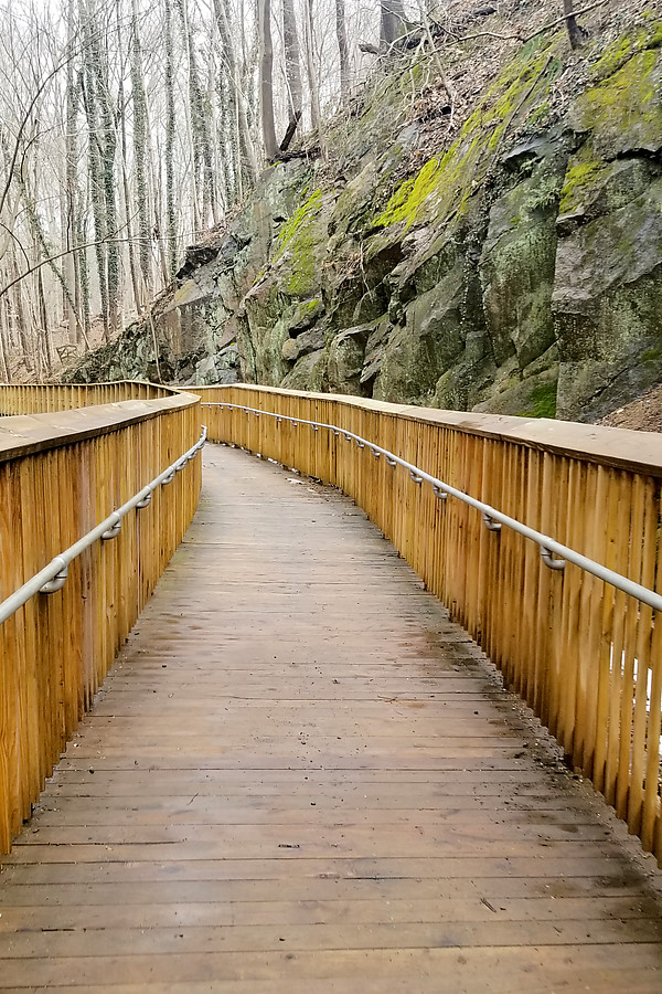 Trollley Trail