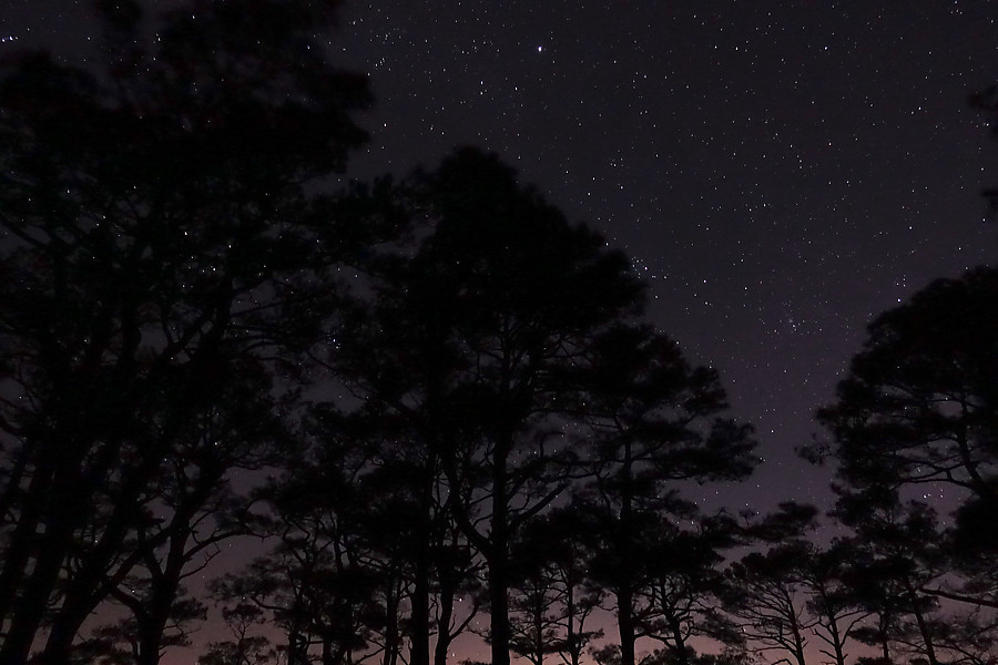 amazing stars