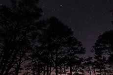 amazing stars