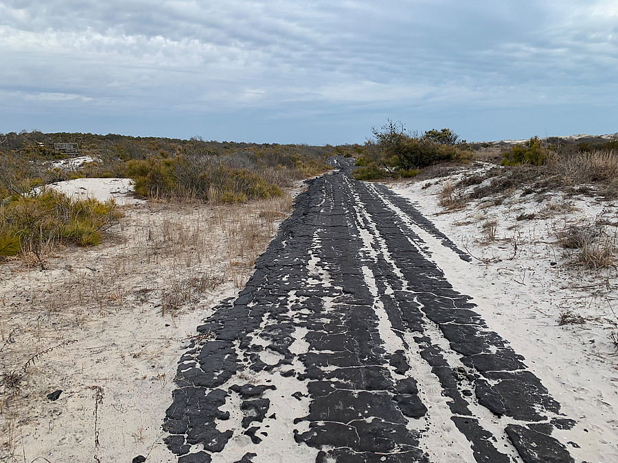 old road from when they were going to make a subdivision out there