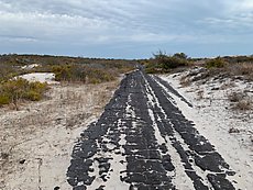 old road from when they were going to make a subdivision out there