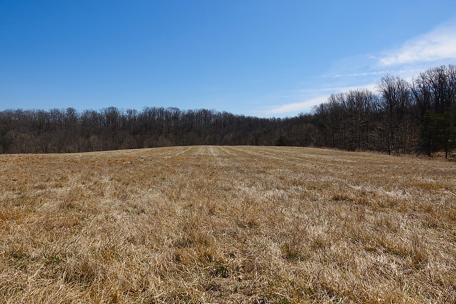 landfill near Woodstock