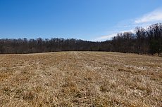 landfill near Woodstock