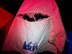 Andy found the limit of a very old REI tent