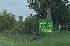 sweetest corn in 3 states!