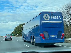 FEMA bus