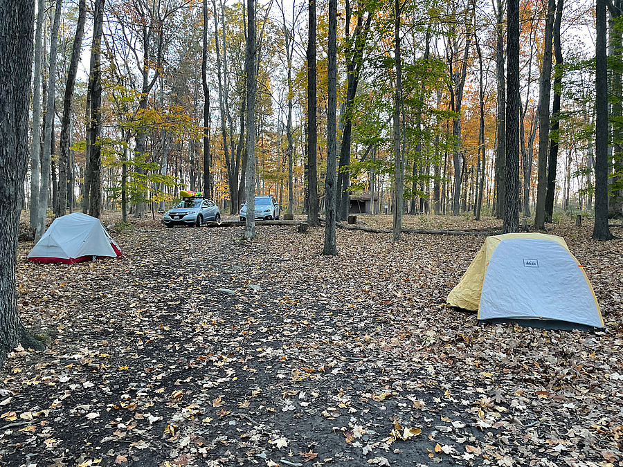 spacious campsite (Deer Creek)
