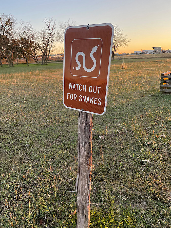 watch out for snakes