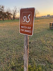 watch out for snakes