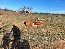 Tres Lunas fancy airbnbs