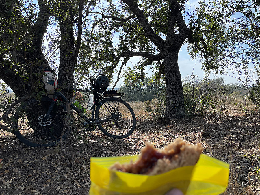 shady spot for lunch