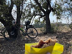 shady spot for lunch