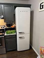 fancy but unsatisfying fridge
