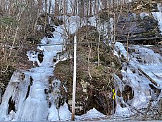 Moores Bridge gully