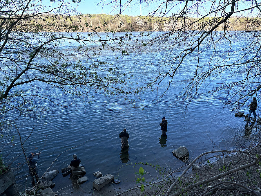 shad fisherman