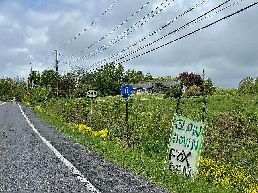 SLOW DOWN FOX DEN