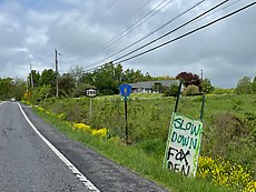 SLOW DOWN FOX DEN