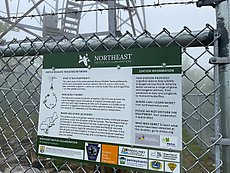 Northeast Motus Collaboration