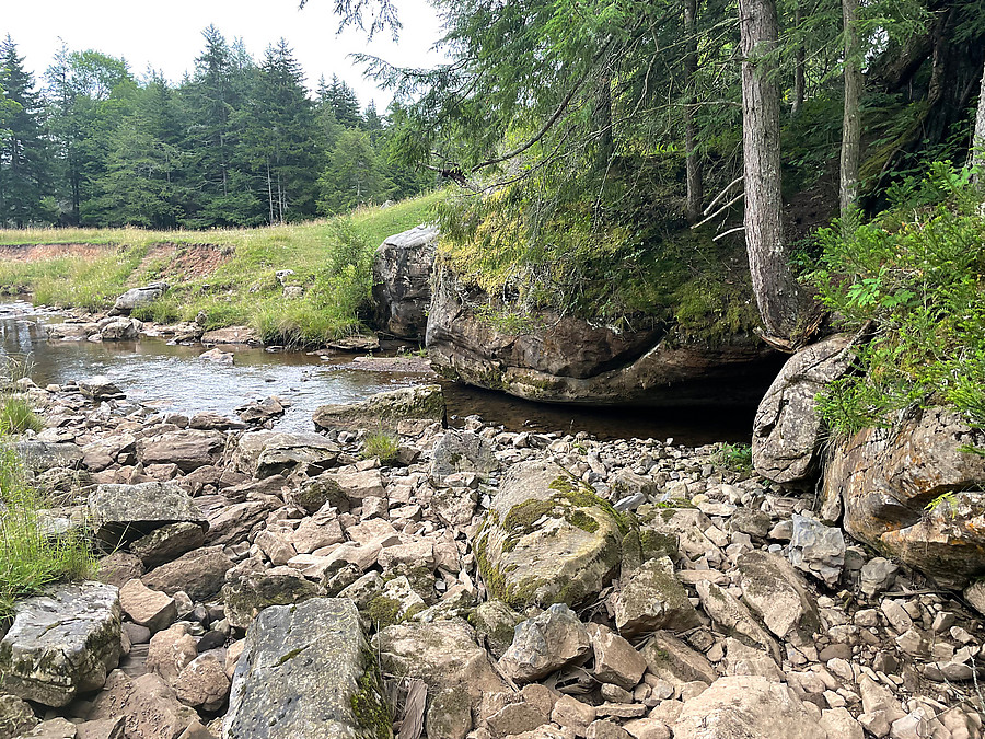 Sinks of Gandy outflow