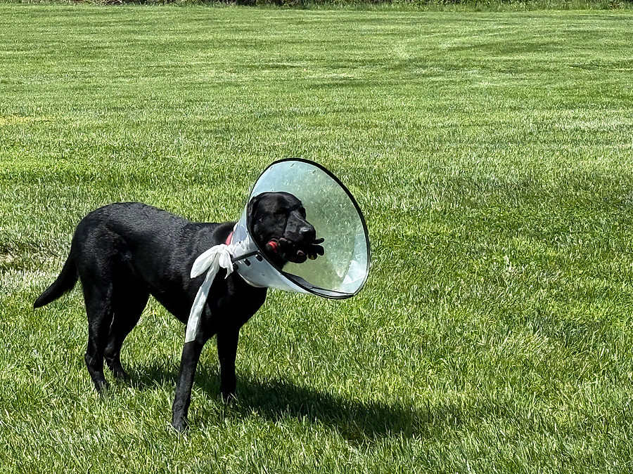 lost my glove for a while