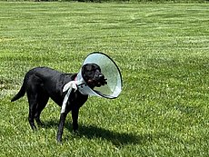 lost my glove for a while